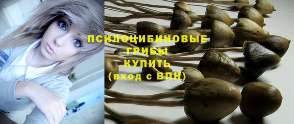 метадон Белокуриха