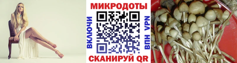 Галлюциногенные грибы Psilocybine cubensis  Волчанск 